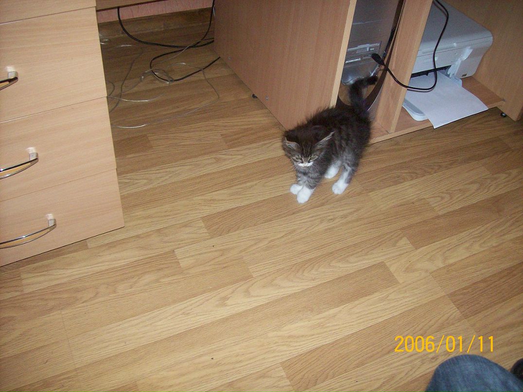 Андрей Поляков фотография #24