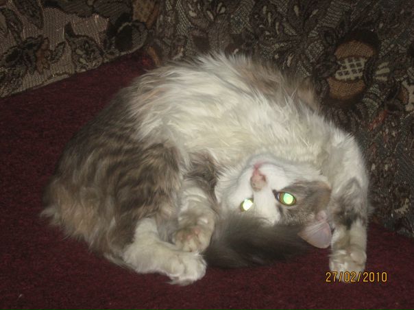 Ник Xan фото №1