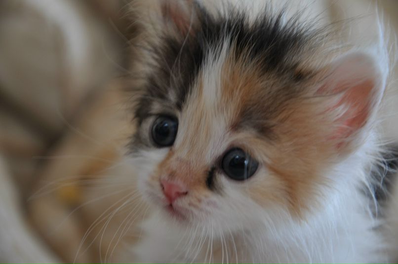 Марк Макаров фотография #21