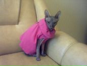 Фотография Поповой Ани