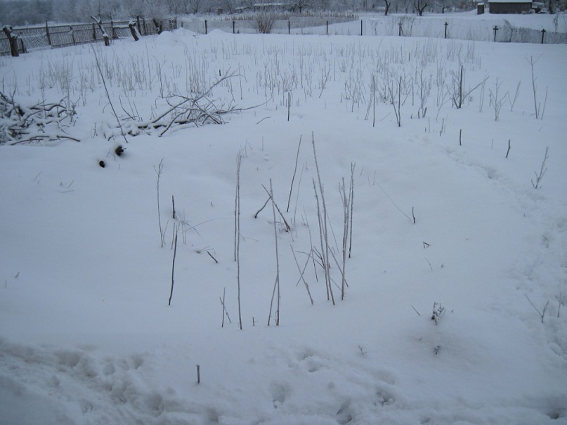 Руслан Мартыненко фотография #43