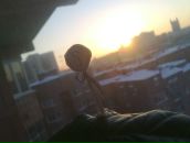 Фотография Торгунакова Никиты