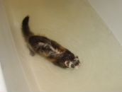 Дима Сергеевич фотография #27 (источник - https://vk.com/id1479155)