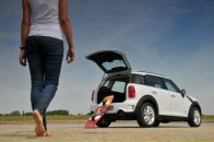 Фотография Долгопольского Артёма