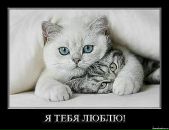 Просто Рамиска=) фотография #3 (источник - https://vk.com/id155554219)