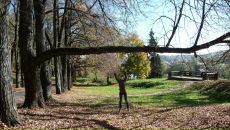 Фотография Чернецовой-Ровной Ольги