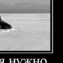 Дмитрий Щербаков фотография #30 (источник - https://vk.com/id39001049)