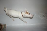 Фотография Веденецкой Ирины