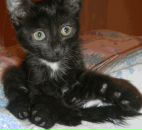 Фотография Чашникова Николая