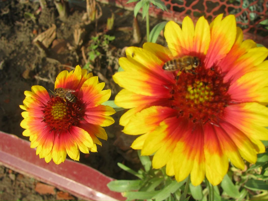 Ира Пивнева фотография #46