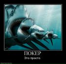 Тима Мороз фотография #28 (источник - https://vk.com/id249775)