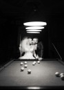 Іруся Косар фотография #39 (источник - https://vk.com/id98993750)