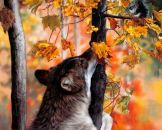 Фотография Егорова Дмитрия