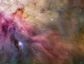 Фотография Муравьёва Юлия