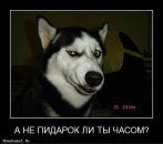 Фотография Закирова Руслана