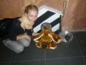 Фотография Бутенко Олеси