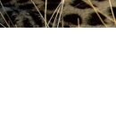 Aleksei N фотография #16 (источник - https://vk.com/id153556975)