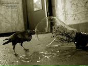 Фотография Васильева Ваньки