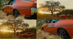 Фотография Ранцева Владислава