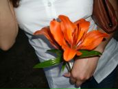 Фотография Ельцовой Екатерины