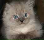 Фотография Garanin Andrey