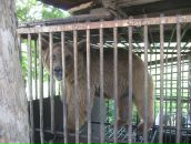 Фотография Иванихина Алексея