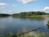 Фотография Астафьева Александра