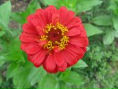 Фотография Подгорновой Жанны