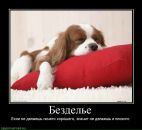 Фотография Неверова Дмитрия