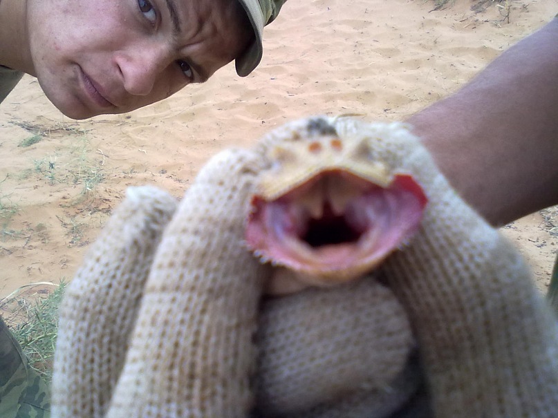 Сергей Бех фотография #42