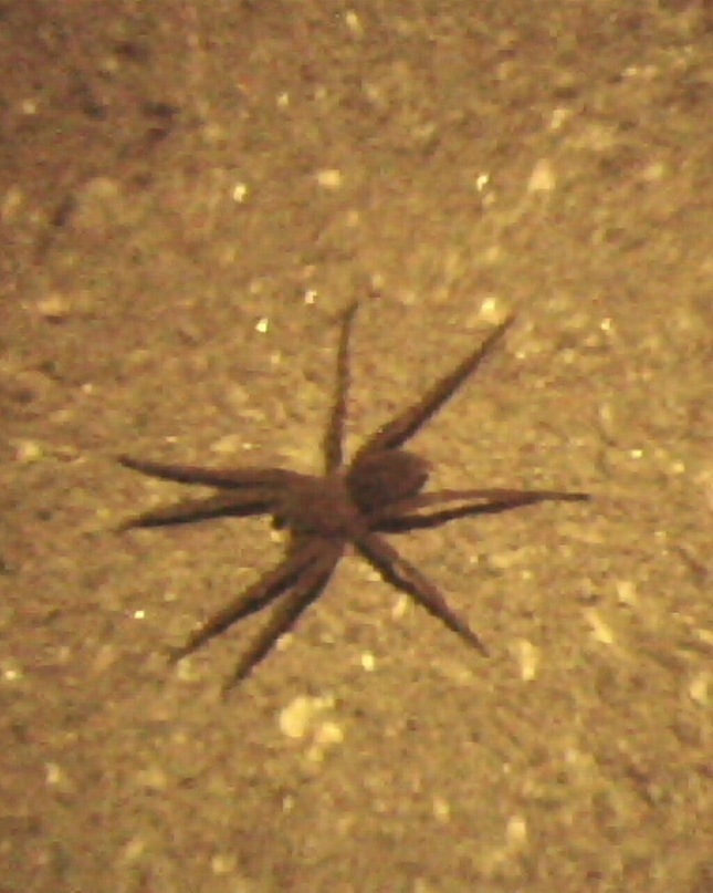 Сергей Бех фотография #28