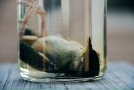 Фотография Андреевны Настасьи