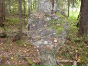 Фотография Харитоновой Любови