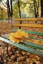 Фотография Фурсовой Галины