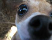 Фотография Заставской Екатерины