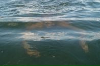 Фотография Петухова Михаила