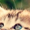 Іван Чепа фотография #38 (источник - https://vk.com/id148920590)