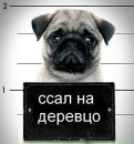 Діма Григорчук фотография #42 (источник - https://vk.com/id144904151)