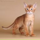 Фотография Баваровской Надежды