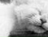 Лєра Щербина фотография #17 (источник - https://vk.com/id68521705)