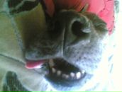 Максим Куварзін фотография #32 (источник - https://vk.com/id6530006)