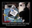 Толян Купрієнко фотография #24 (источник - https://vk.com/id136470026)
