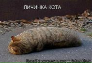 Фотография Болотиной Елены