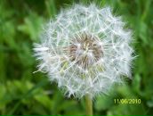 Фотография Мироновой Кристины