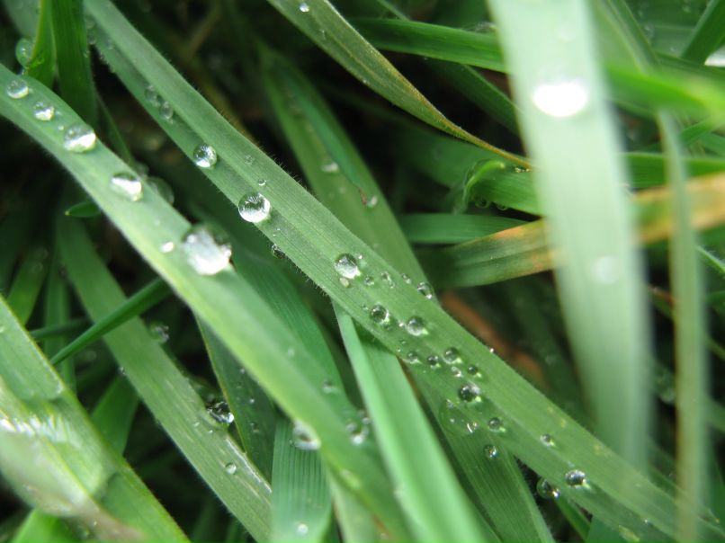 Дмитрий Лупкин фотография #10