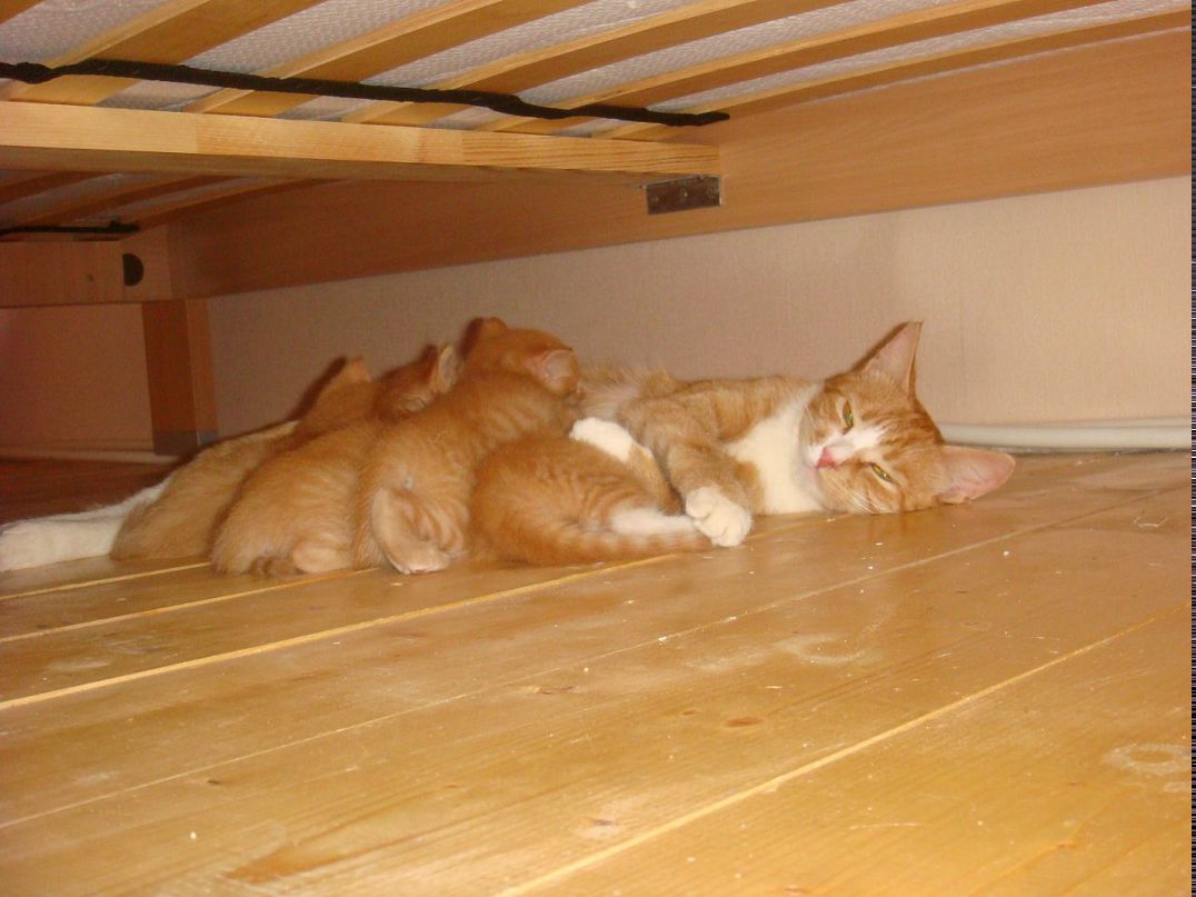 Оля Хапцова фотография #28