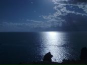 Cüneyt Vural фотография #28 (источник - https://vk.com/id101723344)