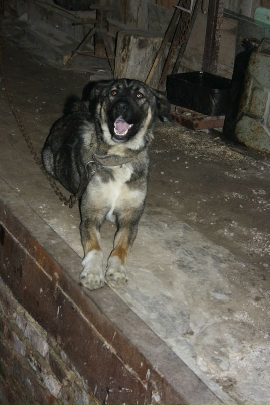 Сергей Лубнин фотография #35