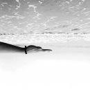 Фотография Коршуна Олега