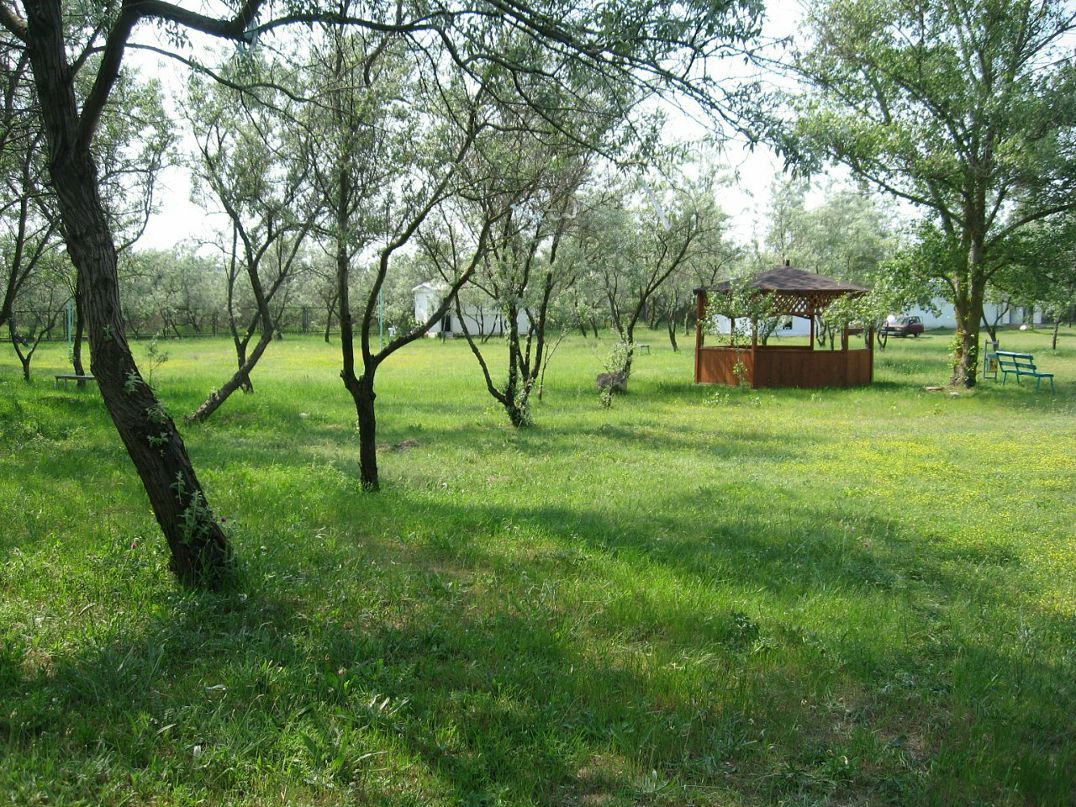 Серж Сарычевъ фотография #11